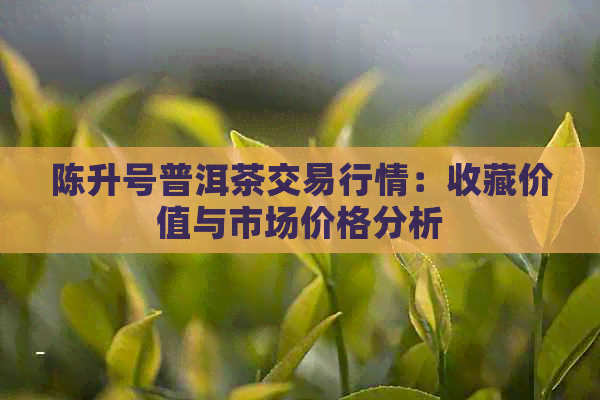 陈升号普洱茶交易行情：收藏价值与市场价格分析