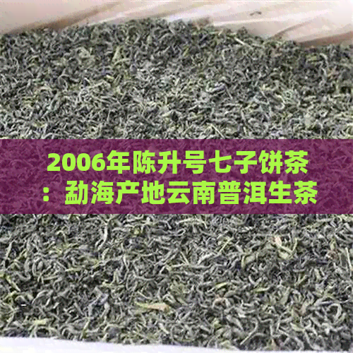 2006年陈升号七子饼茶：勐海产地云南普洱生茶价格分析与批发攻略