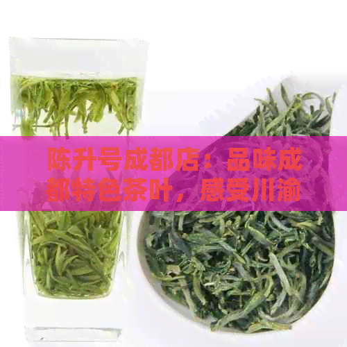 陈升号成都店：品味成都特色茶叶，感受川渝文化魅力的专营店