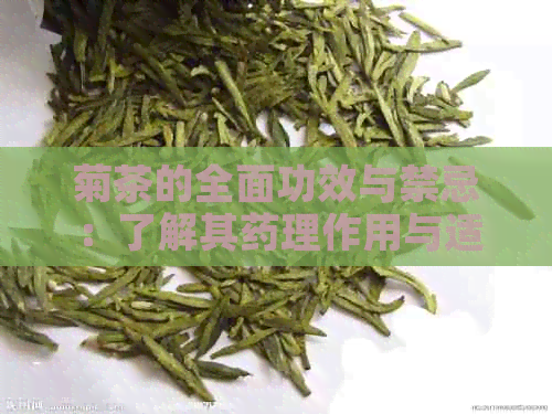 菊茶的全面功效与禁忌：了解其药理作用与适用人群