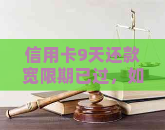 信用卡9天还款宽限期已过，如何解决逾期问题并避免影响信用评级？