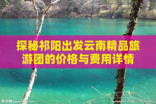 探秘祁阳出发云南精品旅游团的价格与费用详情