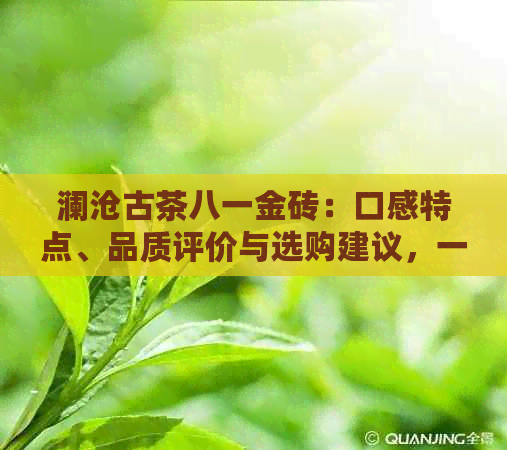 澜沧古茶八一金砖：口感特点、品质评价与选购建议，一篇全面指南！