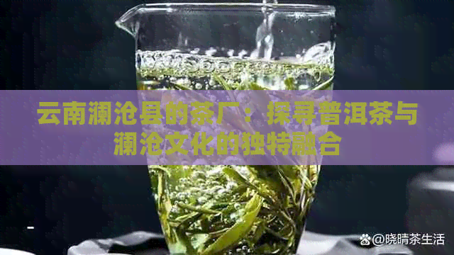 云南澜沧县的茶厂：探寻普洱茶与澜沧文化的独特融合