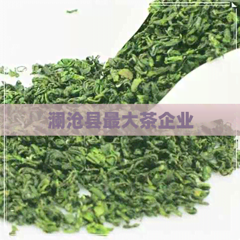 澜沧县更大茶企业