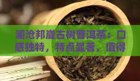 澜沧邦崴古树普洱茶：口感独特，特点显著，值得品鉴