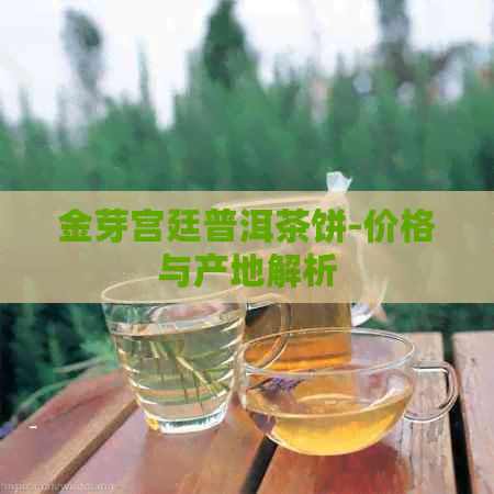 金芽宫廷普洱茶饼-价格与产地解析