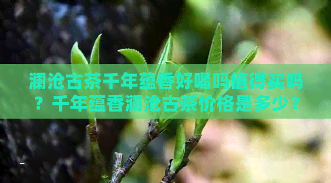 澜沧古茶千年蕴香好喝吗值得买吗？千年蕴香澜沧古茶价格是多少？