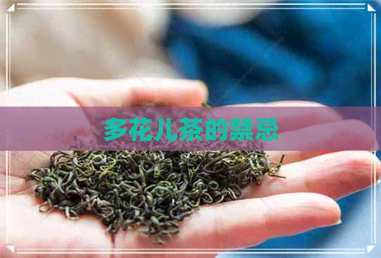 多花儿茶的禁忌