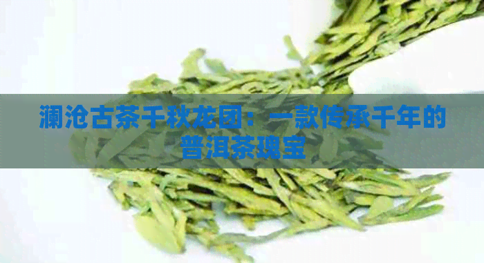 澜沧古茶千秋龙团：一款传承千年的普洱茶瑰宝