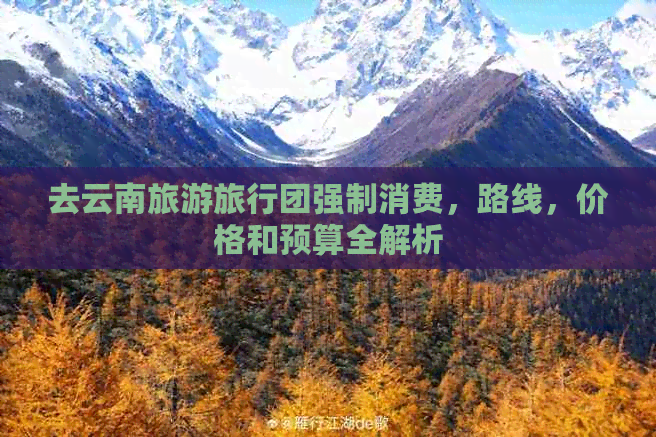 去云南旅游旅行团强制消费，路线，价格和预算全解析