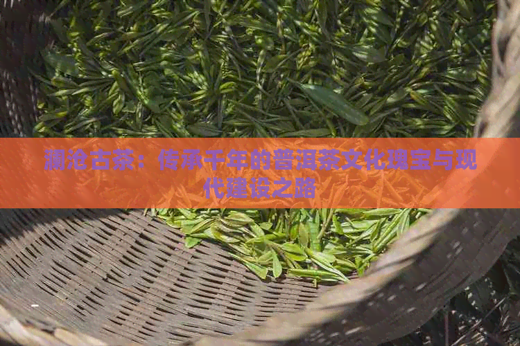 澜沧古茶：传承千年的普洱茶文化瑰宝与现代建设之路