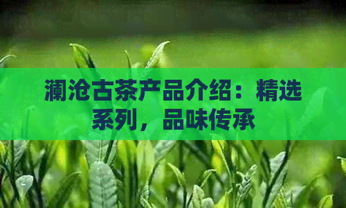 澜沧古茶产品介绍：精选系列，品味传承