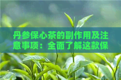 丹参保心茶的副作用及注意事项：全面了解这款保健茶的安全性和可能的影响