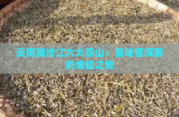 云南澜沧江六大茶山：品味普洱茶的绝佳之地