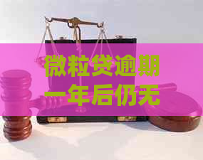 微粒贷逾期一年后仍无法还款，用户面临哪些解决办法和可能的后果？