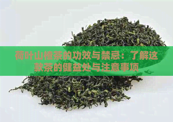 荷叶山楂茶的功效与禁忌：了解这款茶的健益处与注意事项