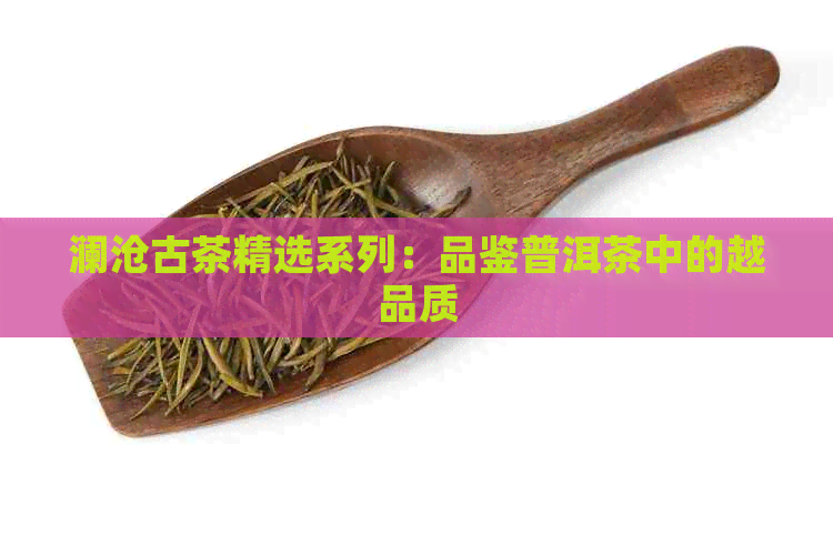 澜沧古茶精选系列：品鉴普洱茶中的越品质