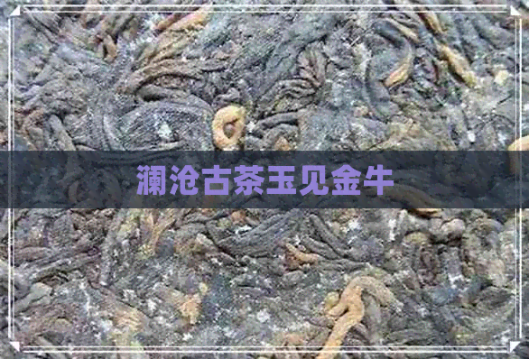 澜沧古茶玉见金牛