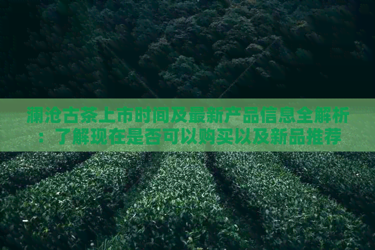 澜沧古茶上市时间及最新产品信息全解析：了解现在是否可以购买以及新品推荐