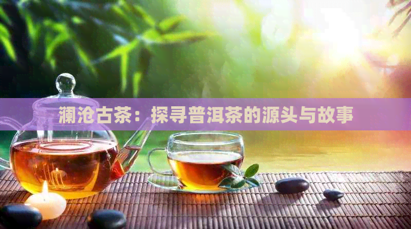 澜沧古茶：探寻普洱茶的源头与故事