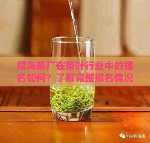 福海茶厂在茶叶行业中的排名如何？了解完整排名情况和市场竞争力