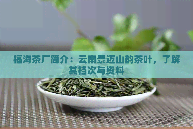 福海茶厂简介：云南景迈山韵茶叶，了解其档次与资料