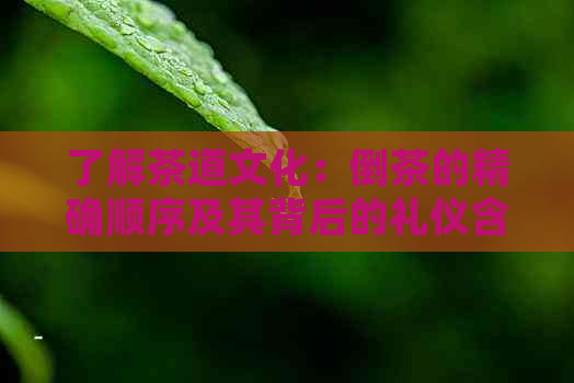 了解茶道文化：倒茶的精确顺序及其背后的礼仪含义