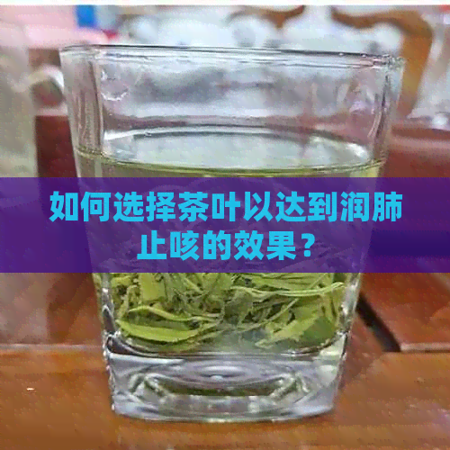 如何选择茶叶以达到润肺止咳的效果？