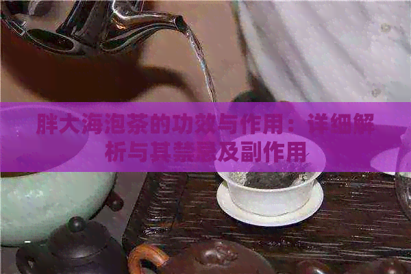 胖大海泡茶的功效与作用：详细解析与其禁忌及副作用