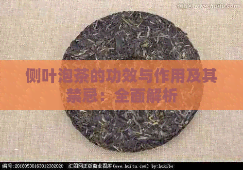 侧叶泡茶的功效与作用及其禁忌：全面解析