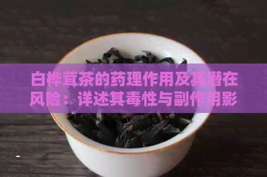 白桦茸茶的药理作用及其潜在风险：详述其性与副作用影响