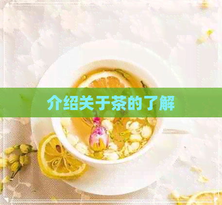 介绍关于茶的了解