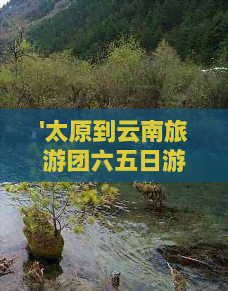 '太原到云南旅游团六五日游报价，8日游仅1280元'