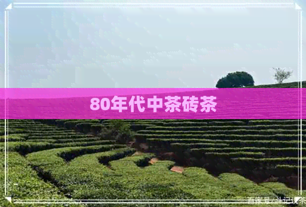 80年代中茶砖茶