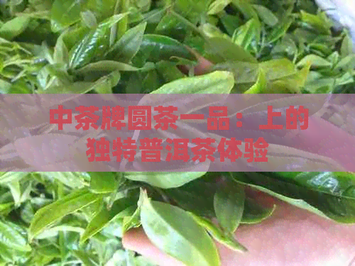 中茶牌圆茶一品：上的独特普洱茶体验