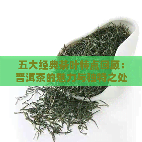 五大经典茶叶特点回顾：普洱茶的魅力与独特之处