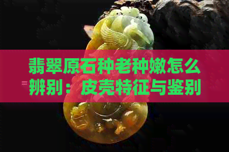 翡翠原石种老种嫩怎么辨别：皮壳特征与鉴别方法