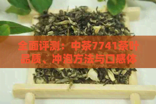 全面评测：中茶7741茶叶品质、冲泡方法与口感体验解析