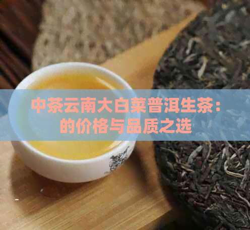 中茶云南大白菜普洱生茶：的价格与品质之选