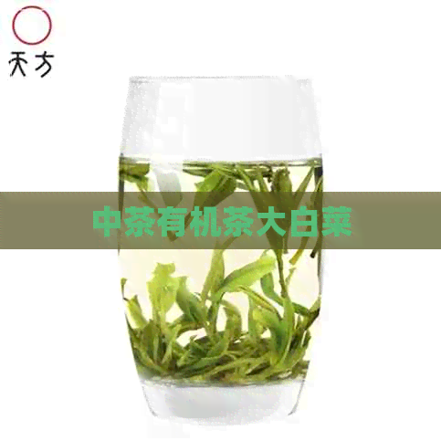 中茶有机茶大白菜