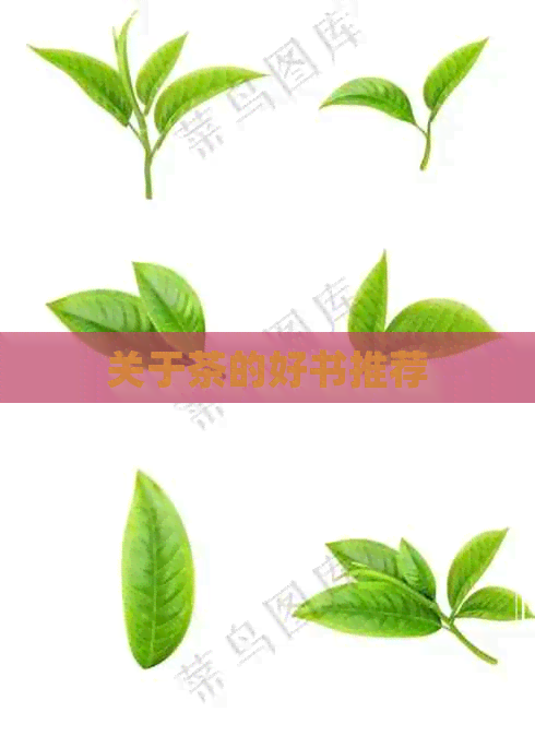 关于茶的好书推荐