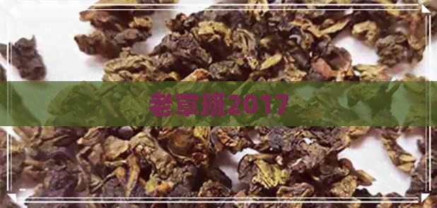 老章班2017