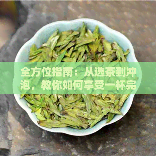 全方位指南：从选茶到冲泡，教你如何享受一杯完美茶叶的魅力