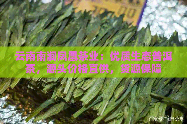 云南南涧凤凰茶业：优质生态普洱茶，源头价格直供，货源保障