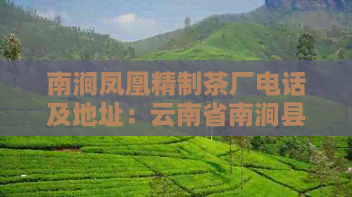 南涧凤凰精制茶厂电话及地址：云南省南涧县凤凰精制茶厂，提供价格信息。