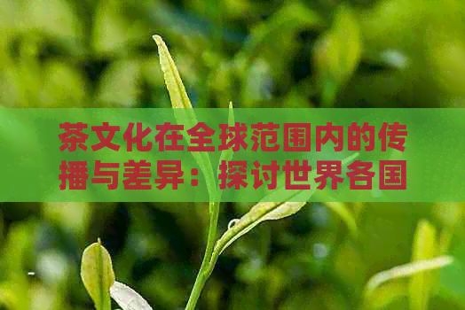 茶文化在全球范围内的传播与差异：探讨世界各国饮茶惯及其文化背景