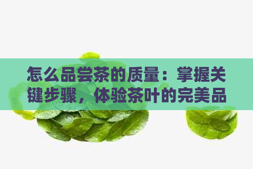 怎么品尝茶的质量：掌握关键步骤，体验茶叶的完美品质