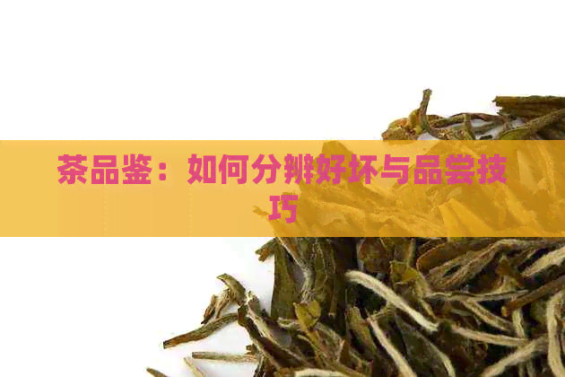 茶品鉴：如何分辨好坏与品尝技巧