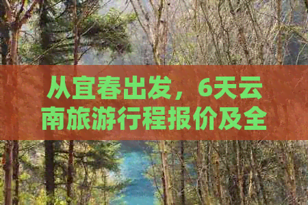 从宜春出发，6天云南旅     程报价及全攻略，了解当地美食、景点及住宿信息